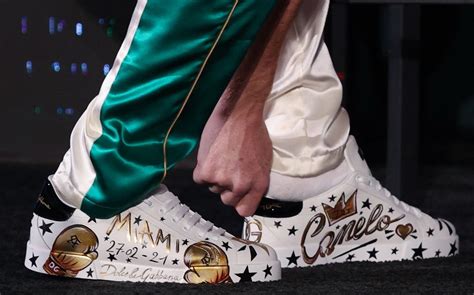 dolce gabbana cane|canelo alvarez shoes.